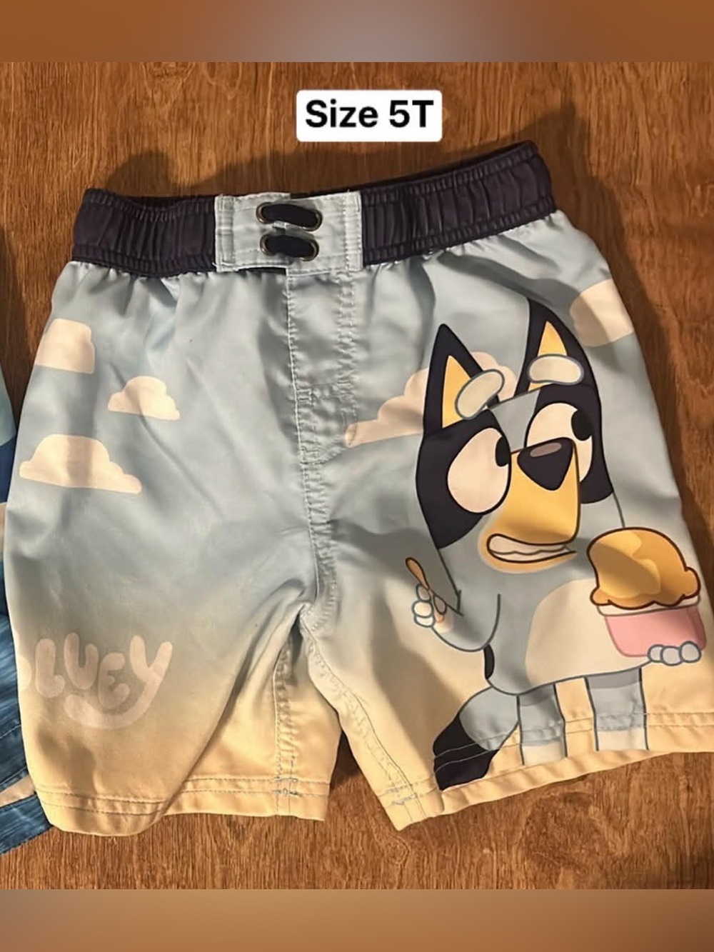 Bluey Swim Trunks / Board Shorts